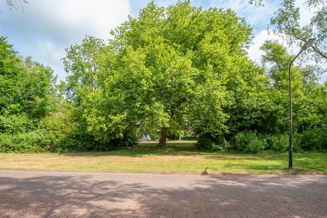 Foto 52 van Trompenburg 12