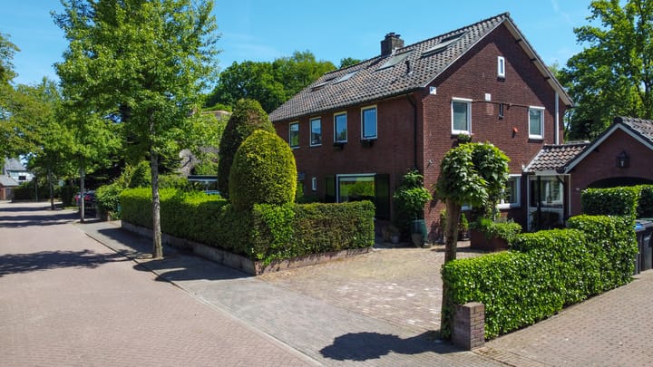 Populierenlaantje 3