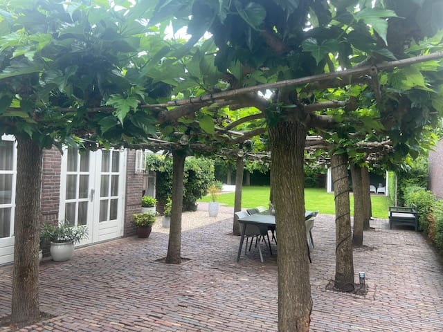 Foto 59 van Schutsboomstraat 61