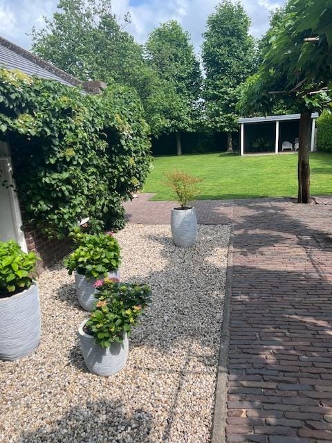 Foto 61 van Schutsboomstraat 61