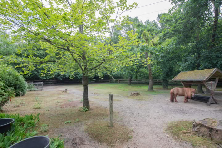 Foto 37 van Lindenlaan 28