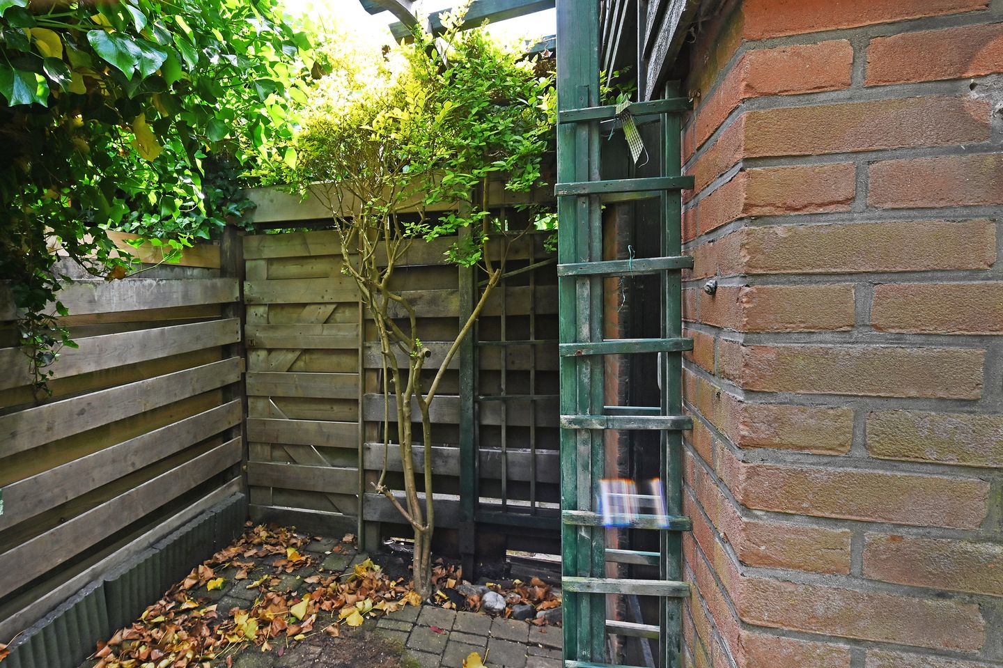 Foto 14 van Rodelaan 55