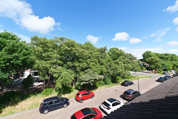 Foto 35 van Rodelaan 55