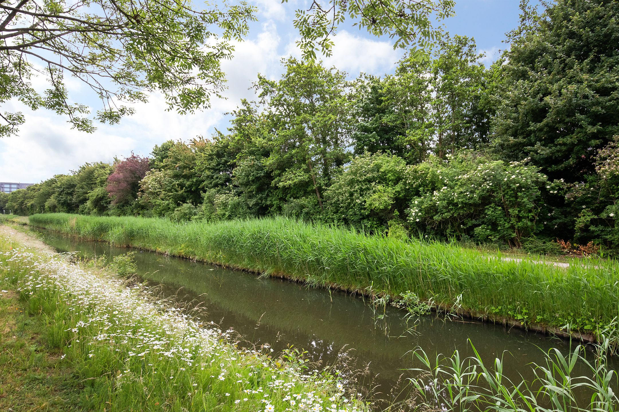 Foto 6 van Maria Tesselschadelaan 141