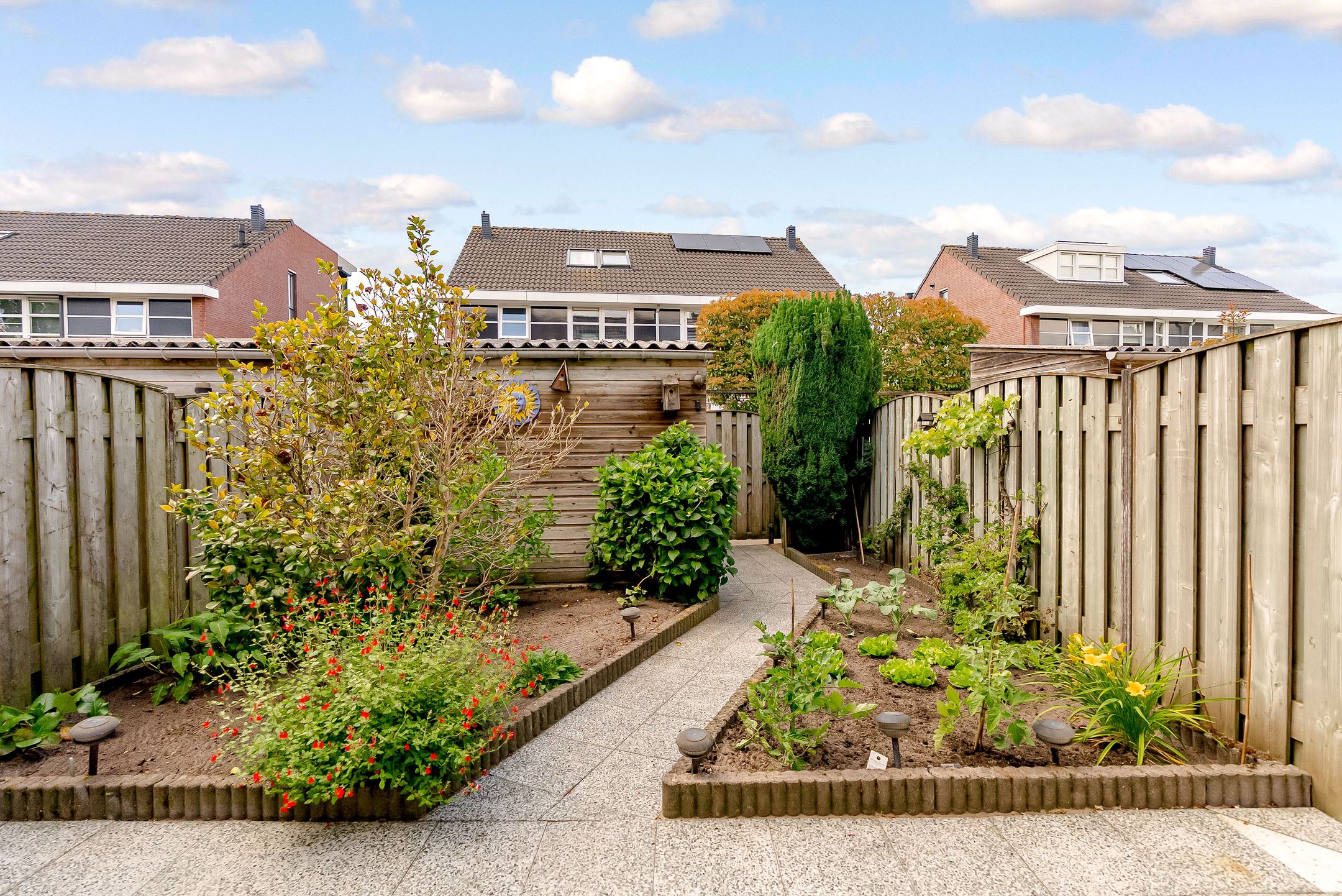 Foto 24 van Tarweakker 13