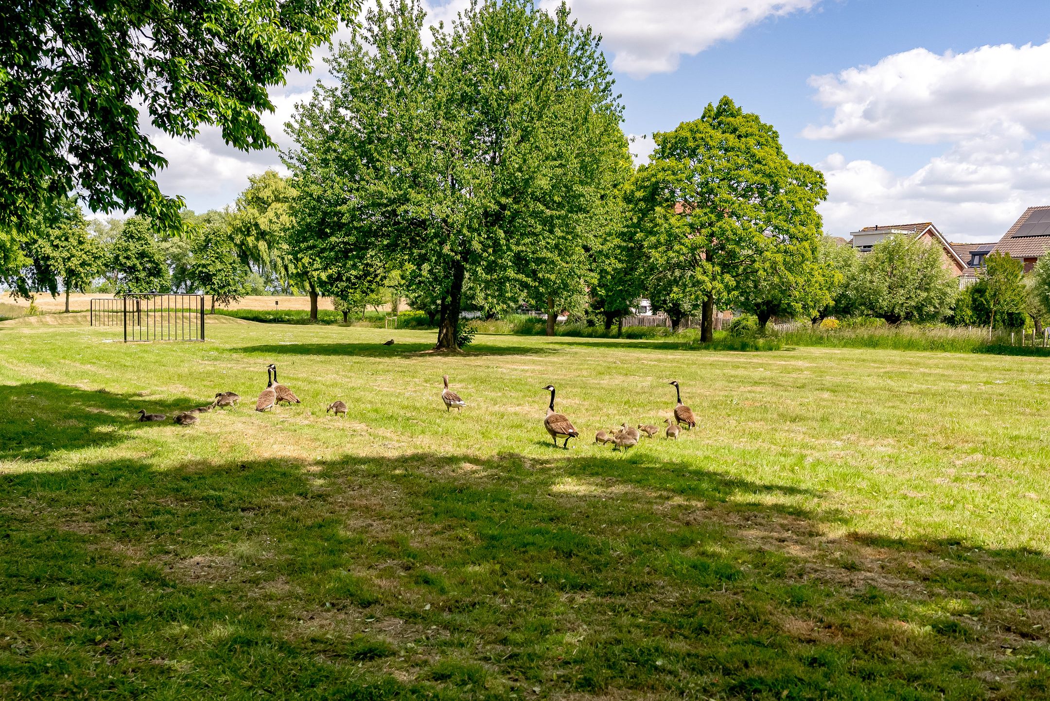 Foto 27 van Tarweakker 13