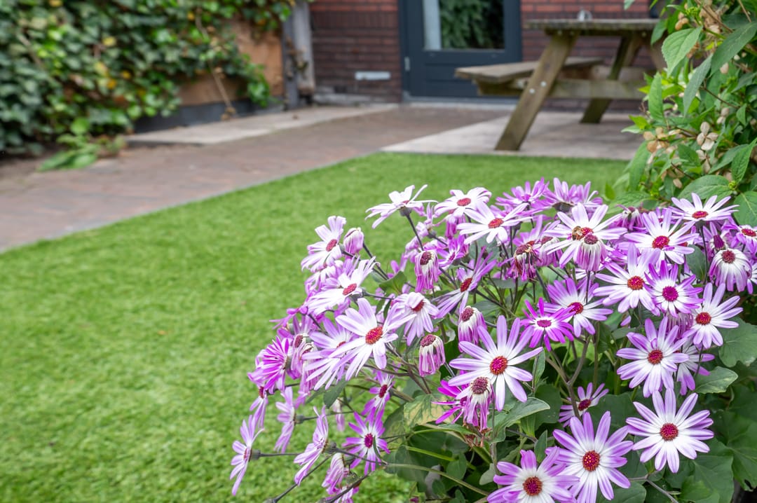 Foto 38 van Liesbergerhout 29