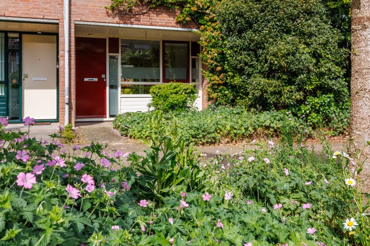 Foto 39 van Blauwe Hof 5902