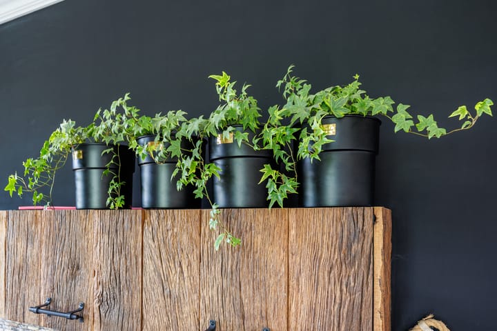 Foto 27 van Hommelstraat 4