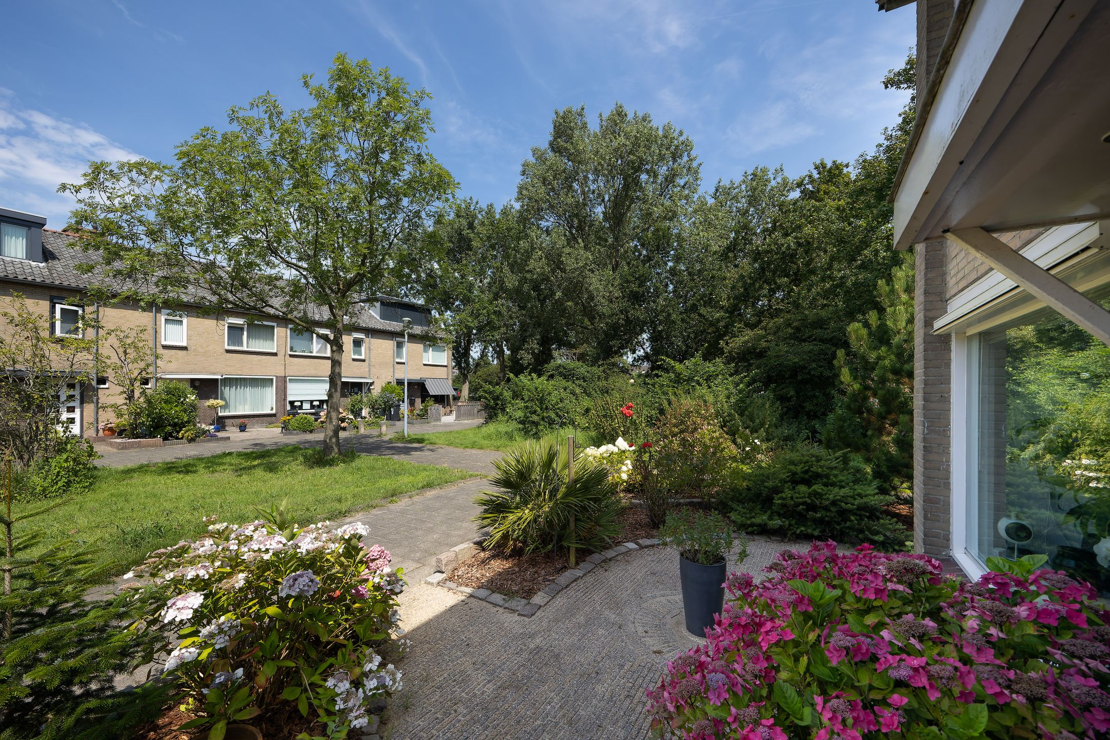 Foto 6 van Amestelle 349