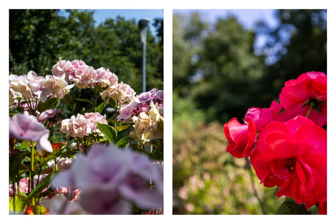 Foto 22 van Amestelle 349