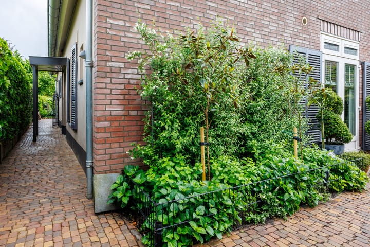 Foto 66 van Hommelstraat 4