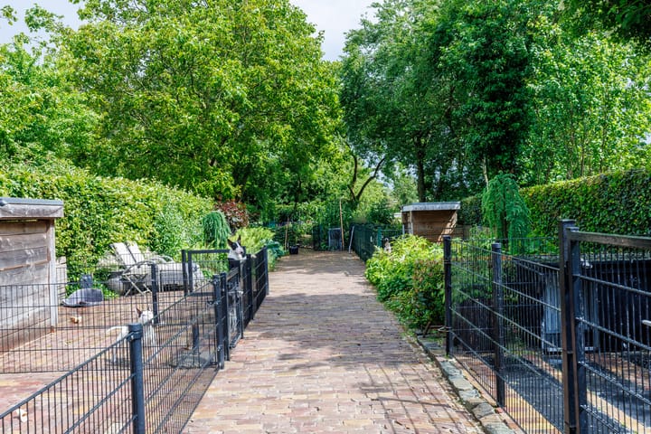 Foto 73 van Hommelstraat 4