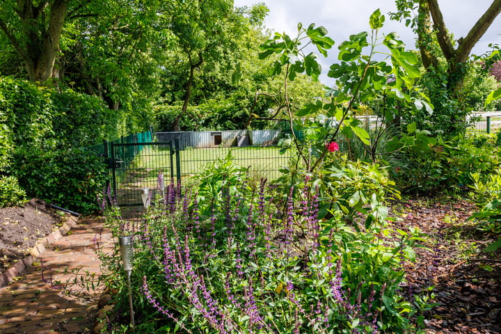 Foto 74 van Hommelstraat 4