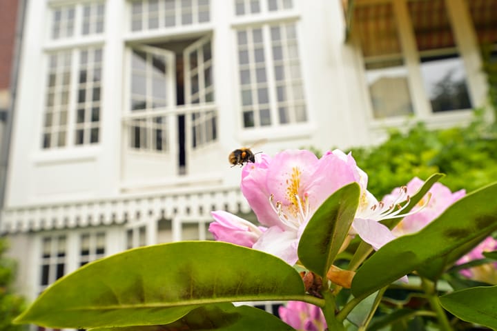 Foto 26 van Malakkastraat 216