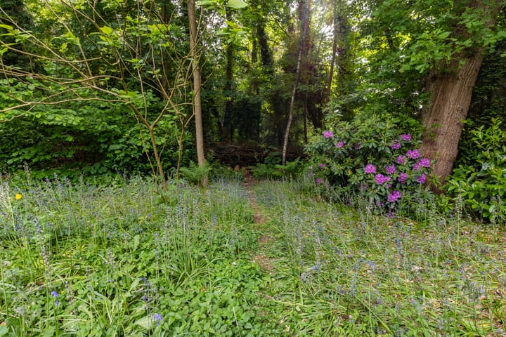 Foto 38 van Hezenbergerweg 58