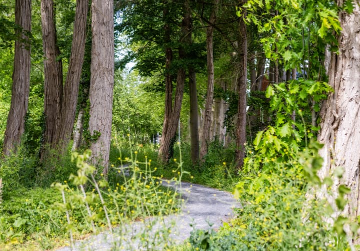 Foto 43 van Hezenbergerweg 58