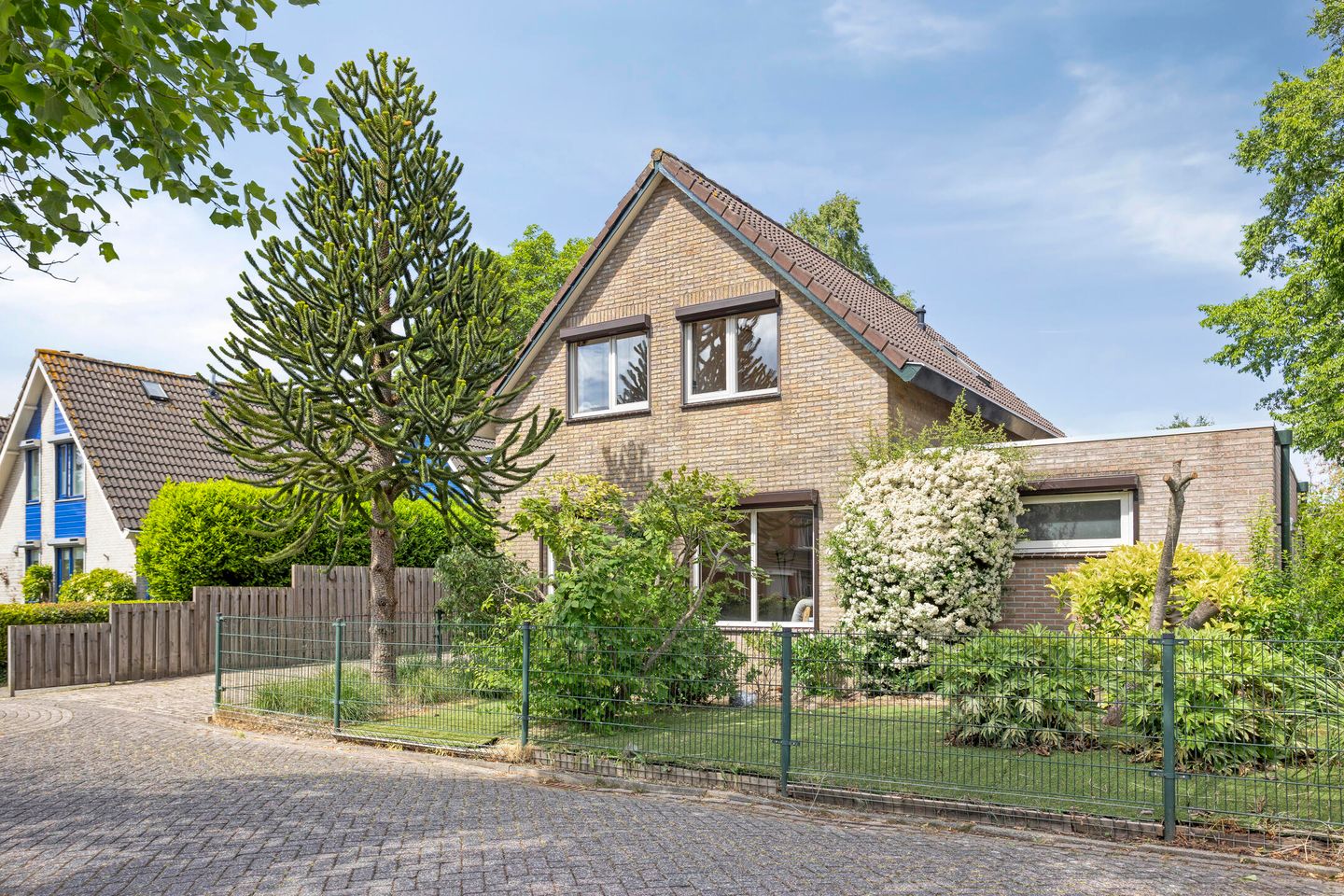 Foto 1 van Koriander 9