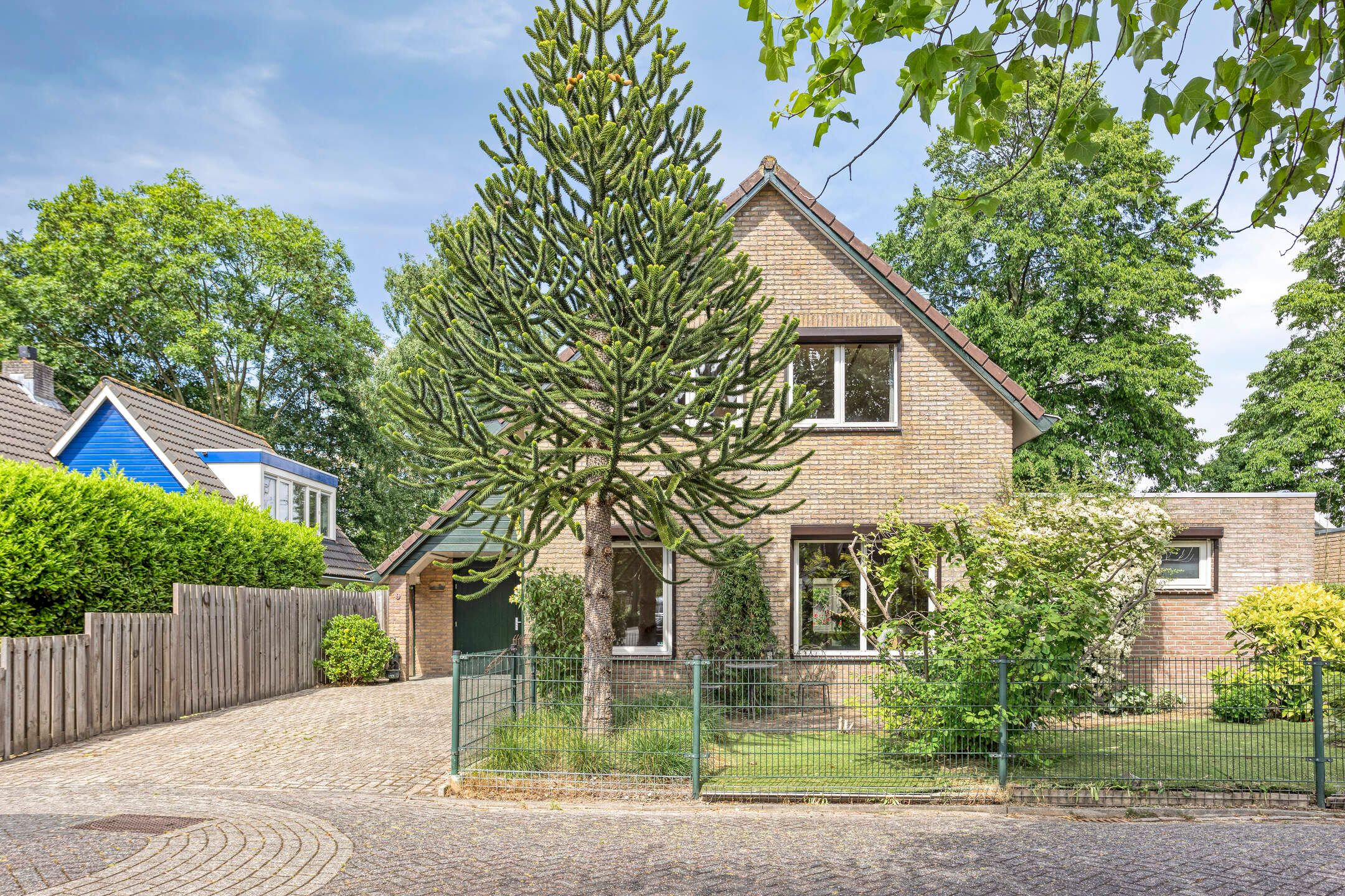 Foto 6 van Koriander 9