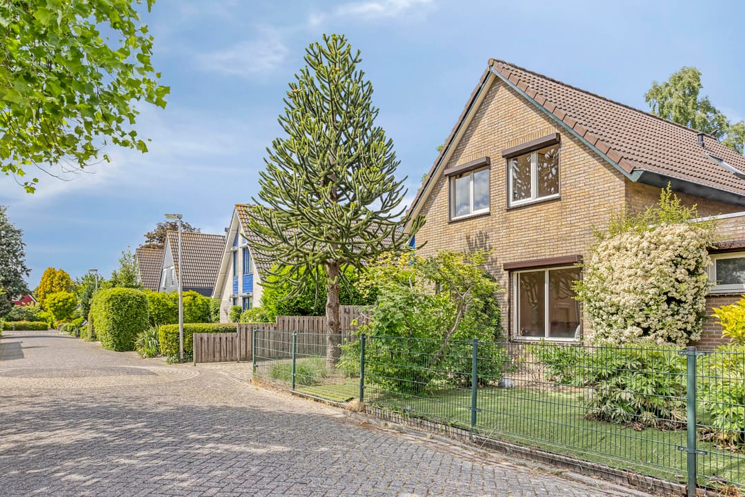 Foto 7 van Koriander 9