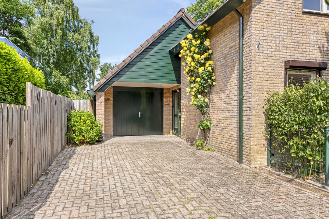 Foto 8 van Koriander 9