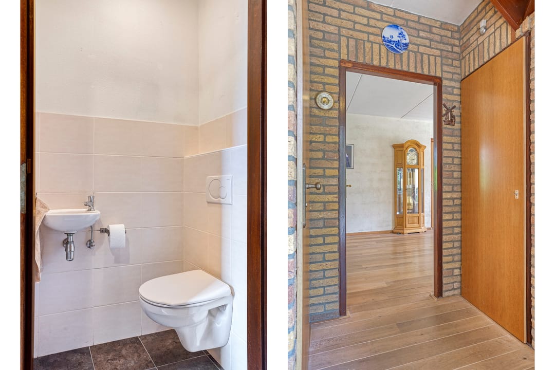 Foto 11 van Koriander 9