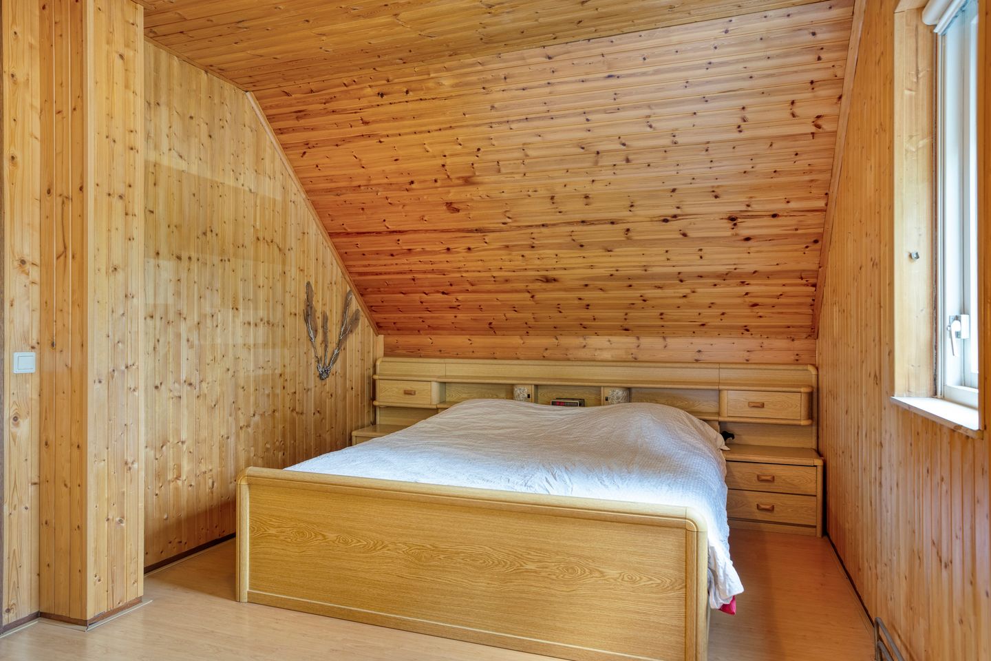 Foto 34 van Koriander 9