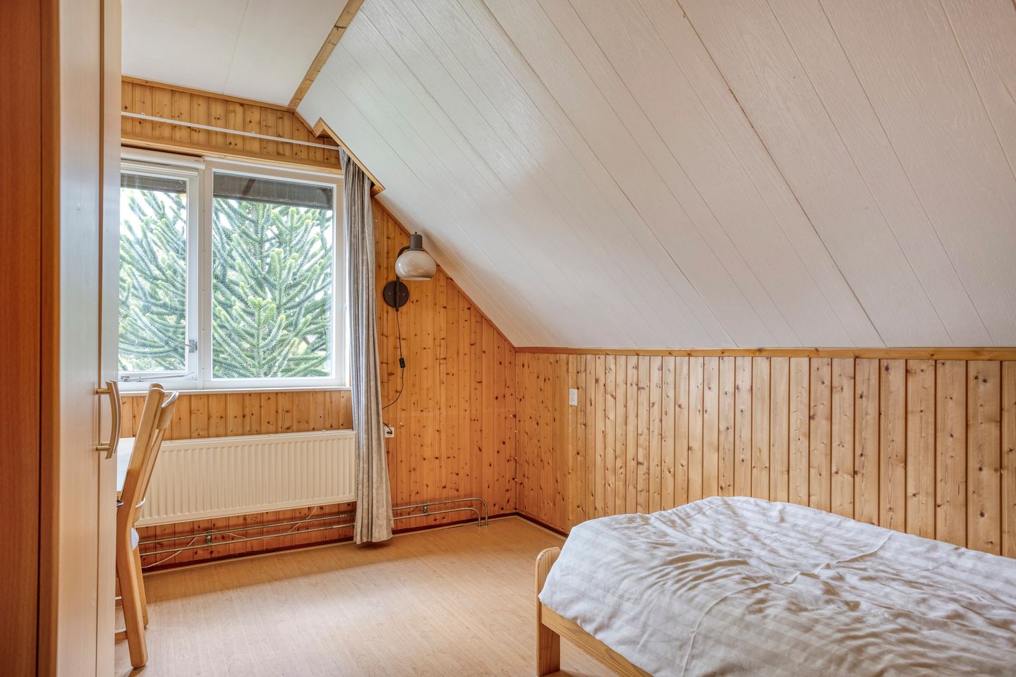 Foto 40 van Koriander 9