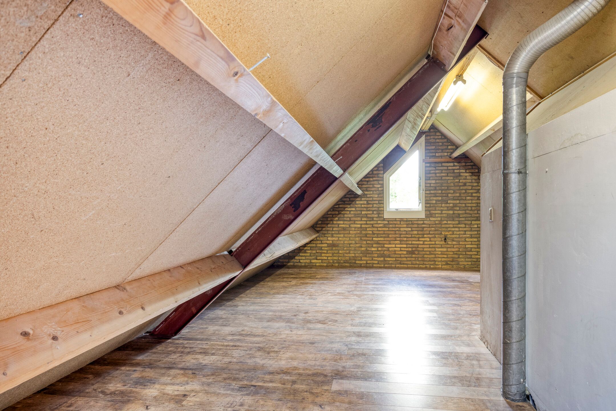 Foto 42 van Koriander 9