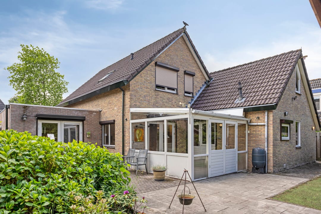 Foto 46 van Koriander 9