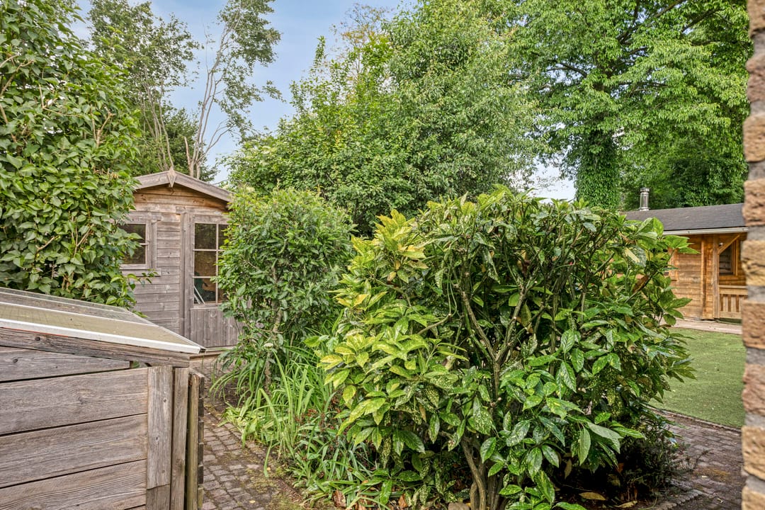 Foto 53 van Koriander 9