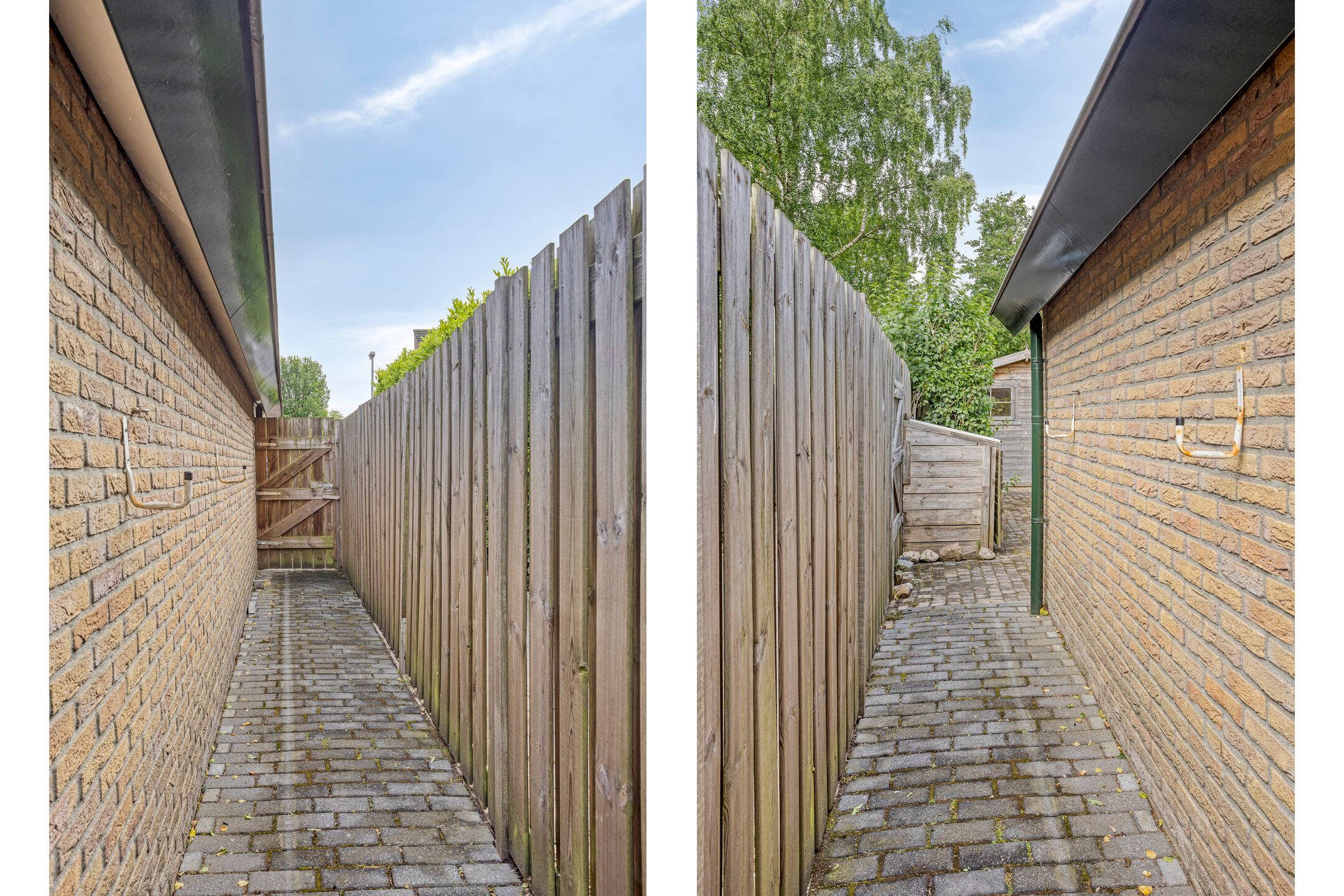 Foto 54 van Koriander 9