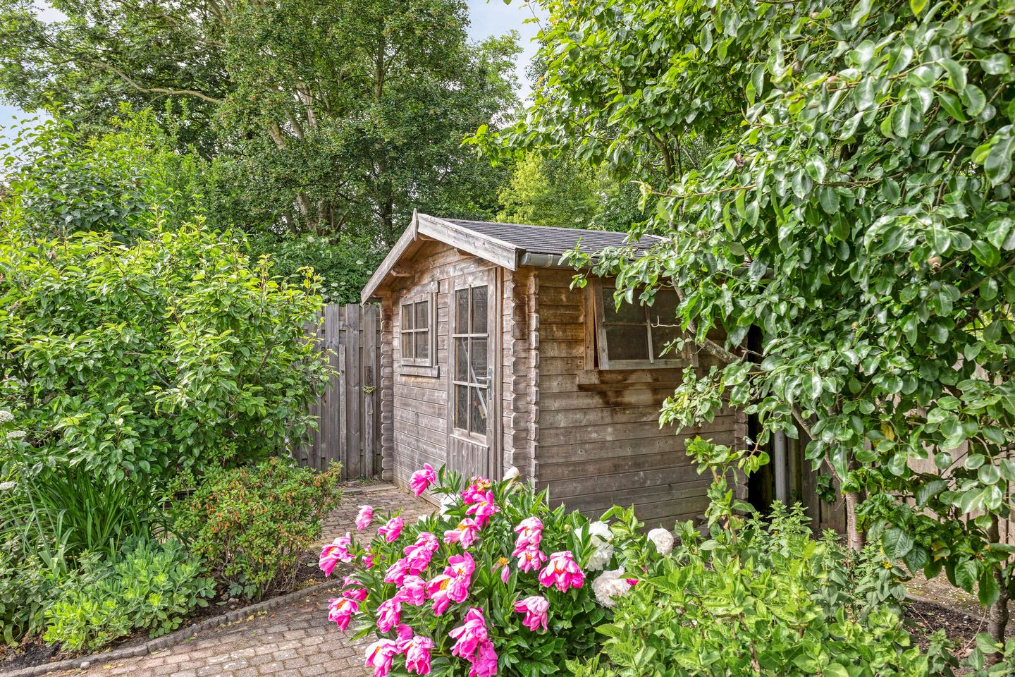 Foto 55 van Koriander 9