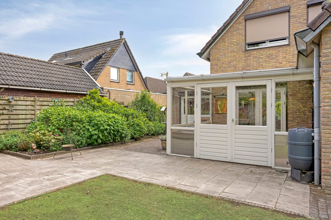 Foto 56 van Koriander 9