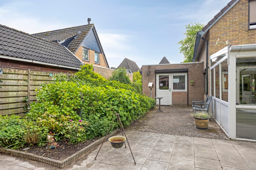 Foto 58 van Koriander 9