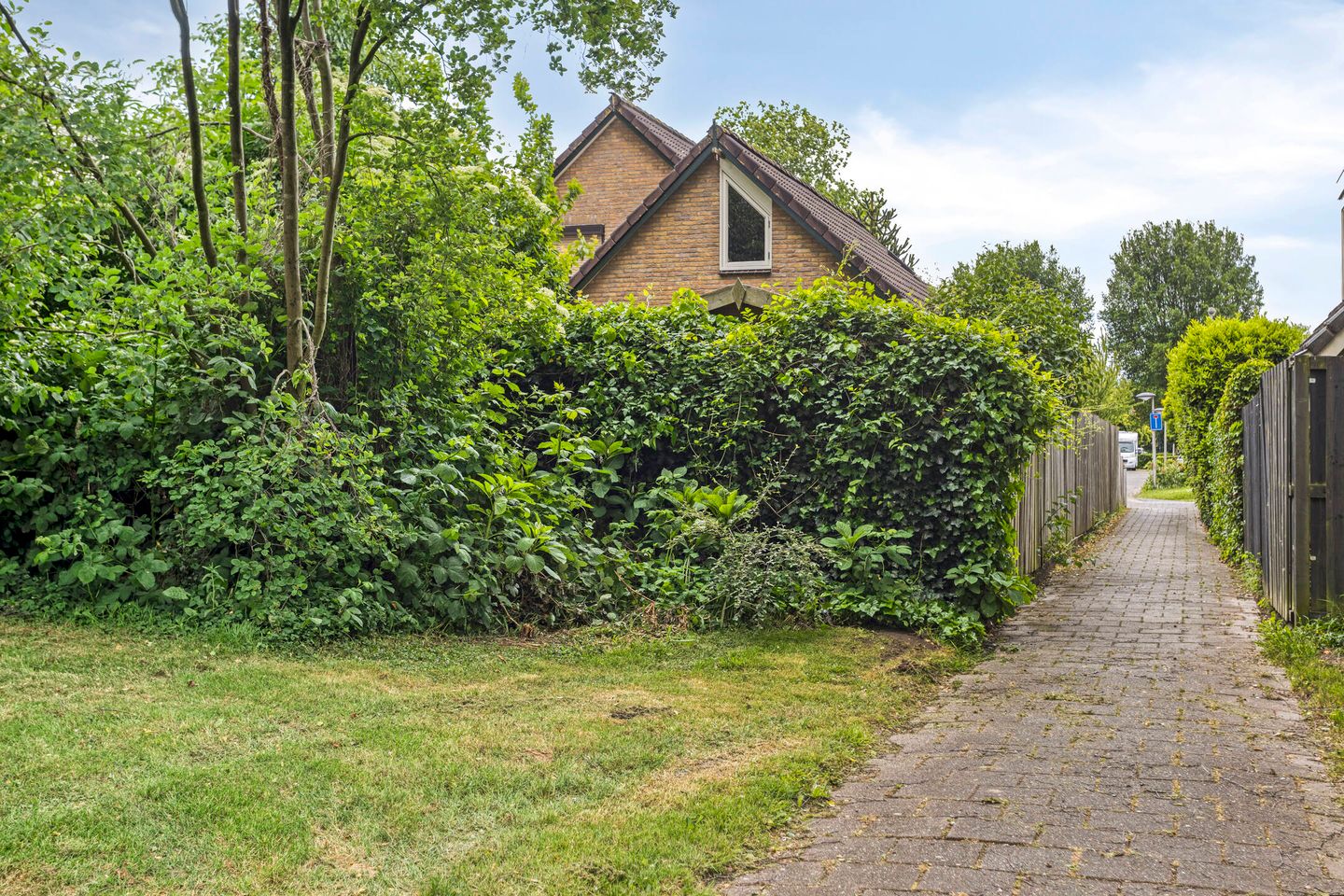 Foto 59 van Koriander 9