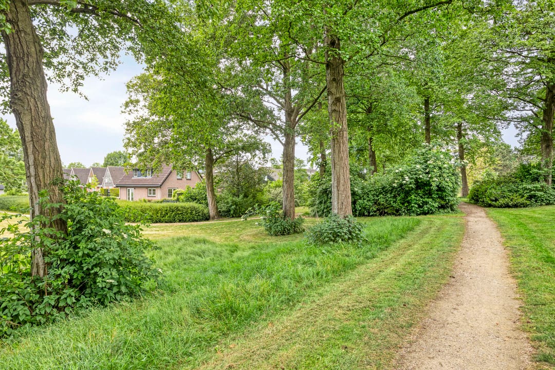 Foto 61 van Koriander 9