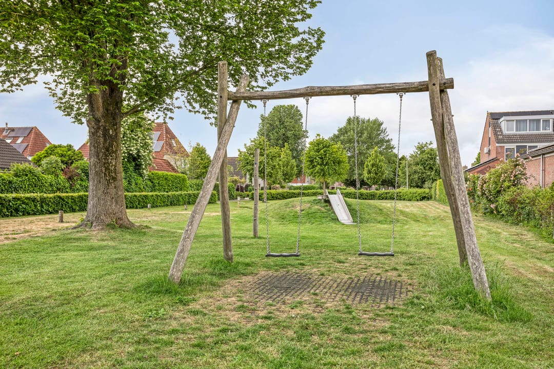 Foto 62 van Koriander 9