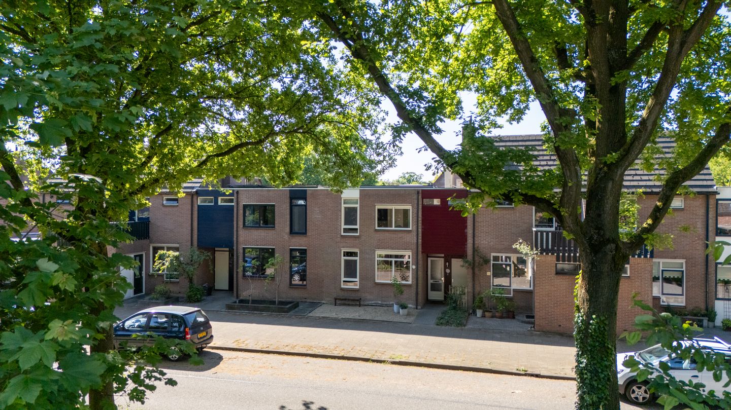 Foto 4 van Wolborgenmate 34