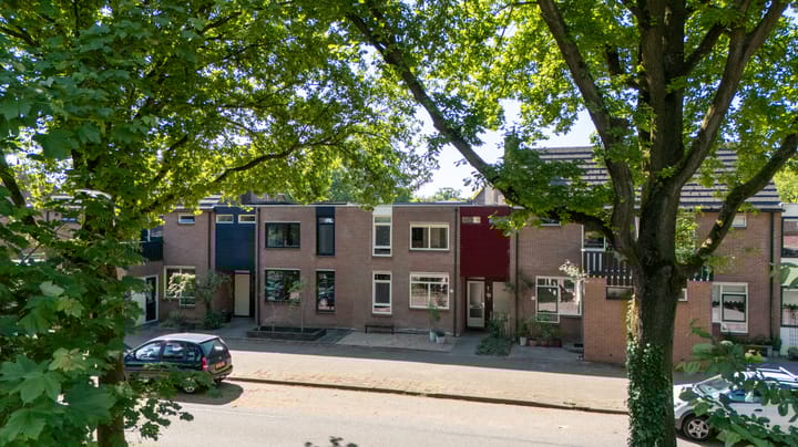 Foto 4 van Wolborgenmate 34