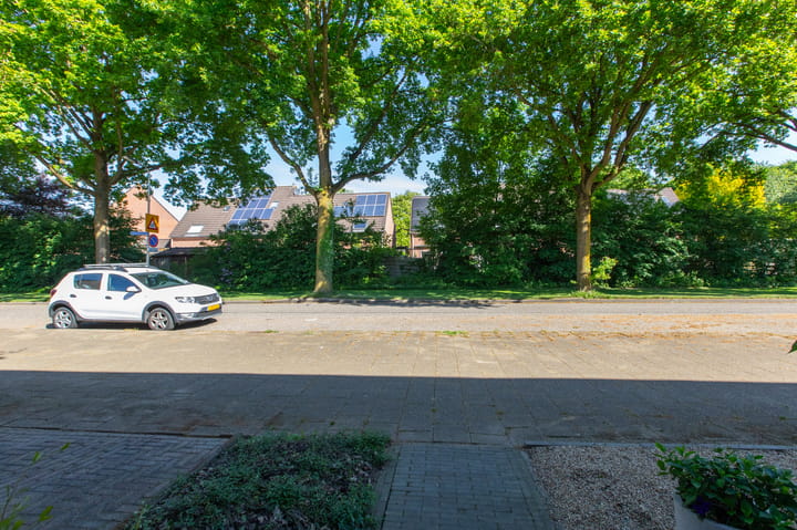 Foto 55 van Wolborgenmate 34