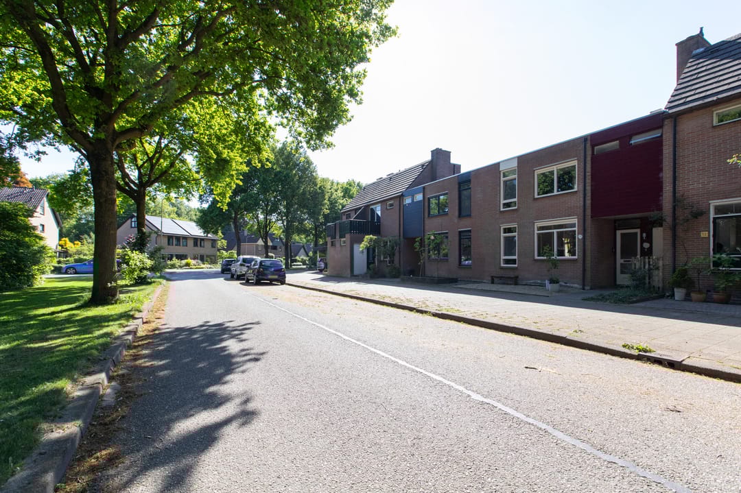 Foto 56 van Wolborgenmate 34