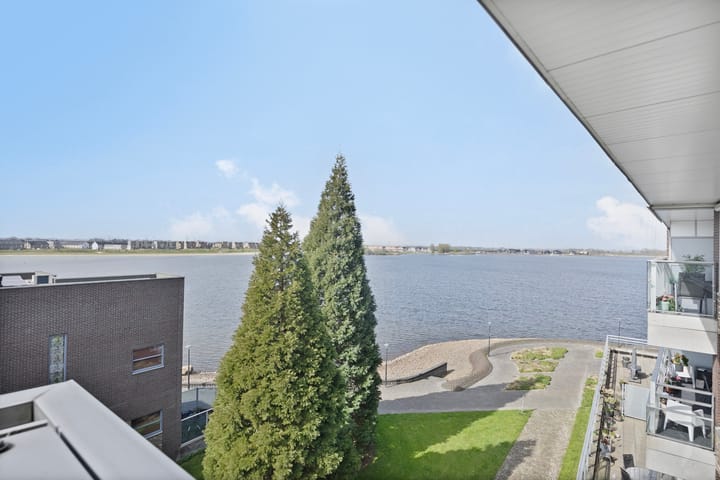 Foto 2 van Sterrenkroos 161