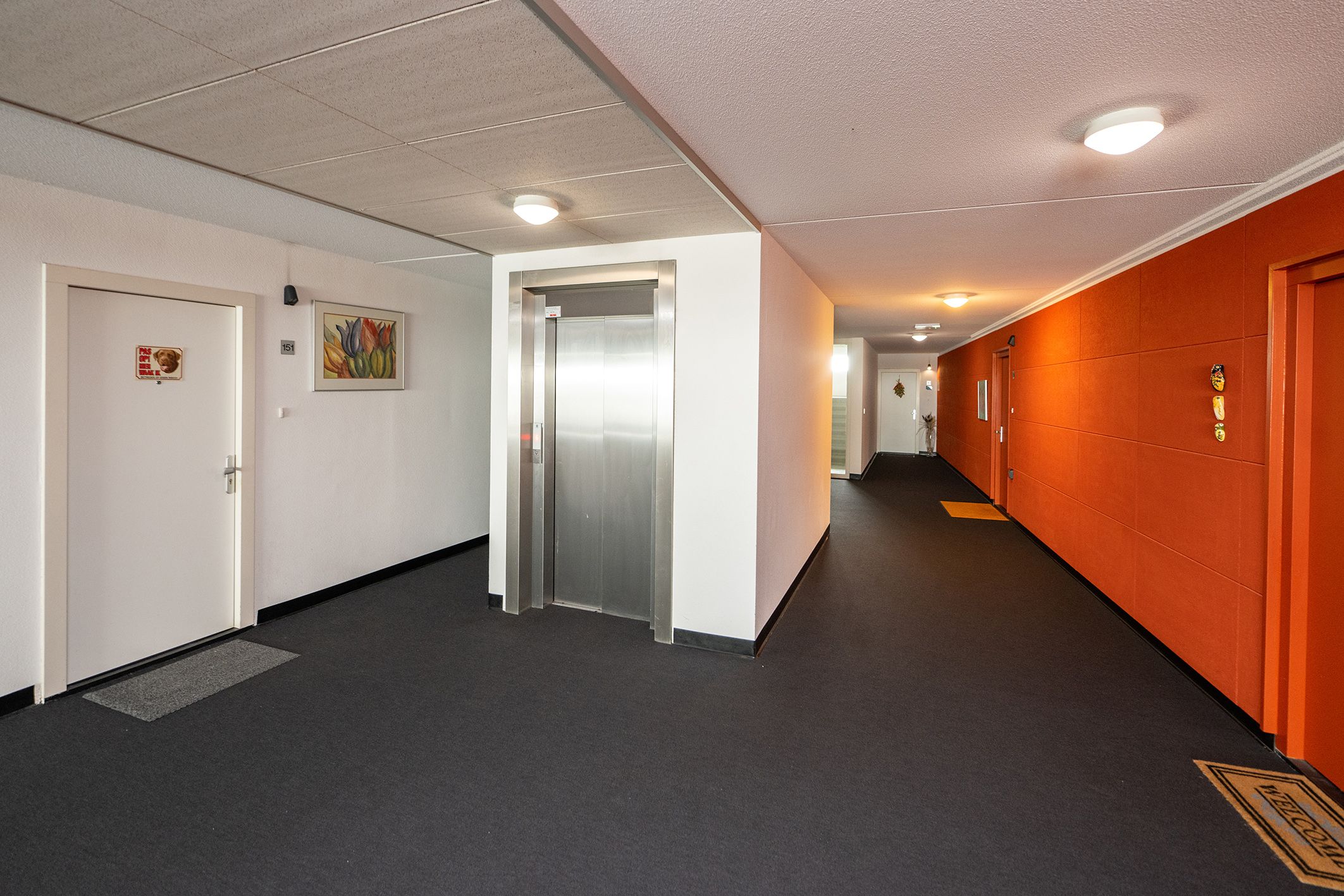 Foto 27 van Sterrenkroos 161