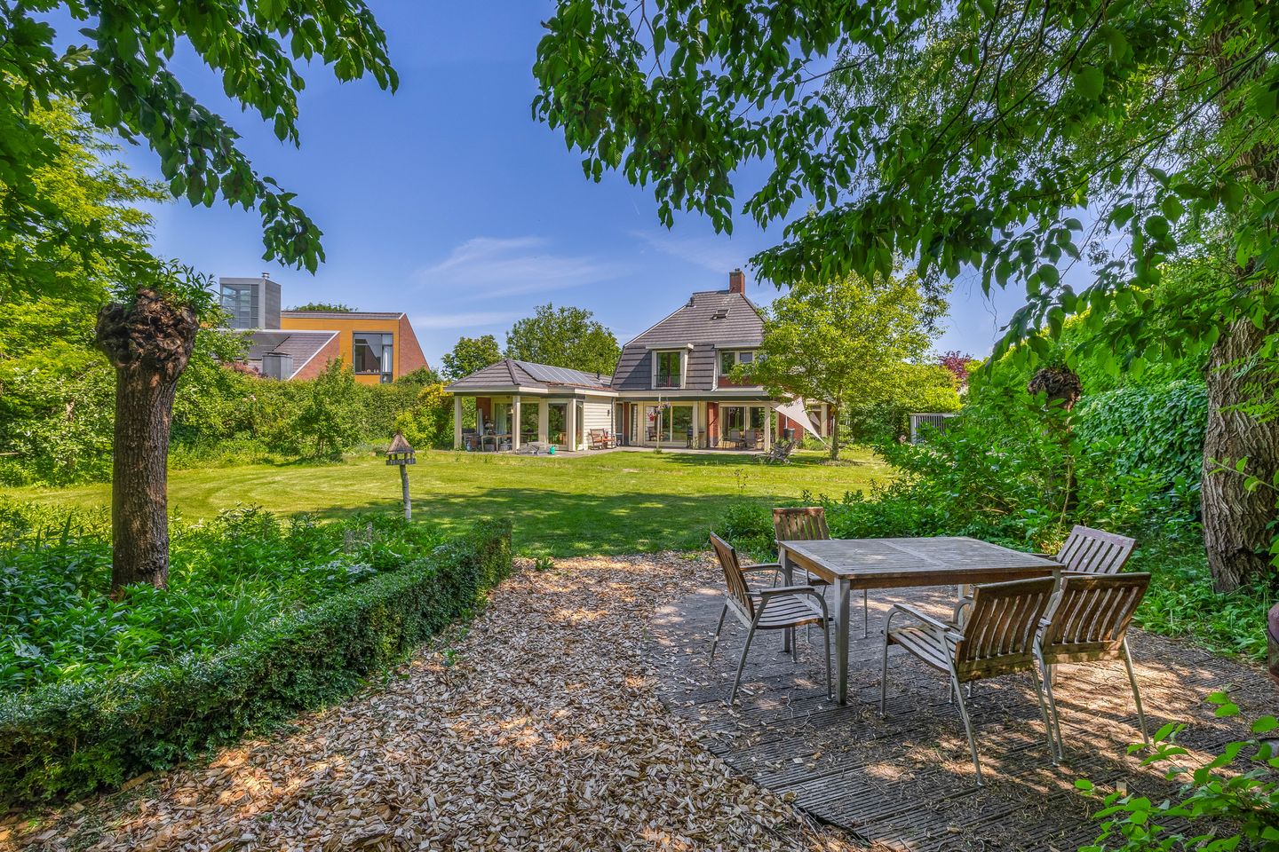 Foto 4 van Lupine 13