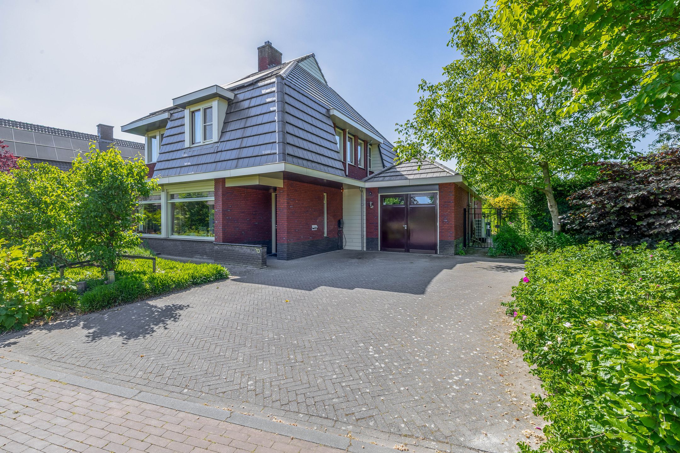 Foto 6 van Lupine 13