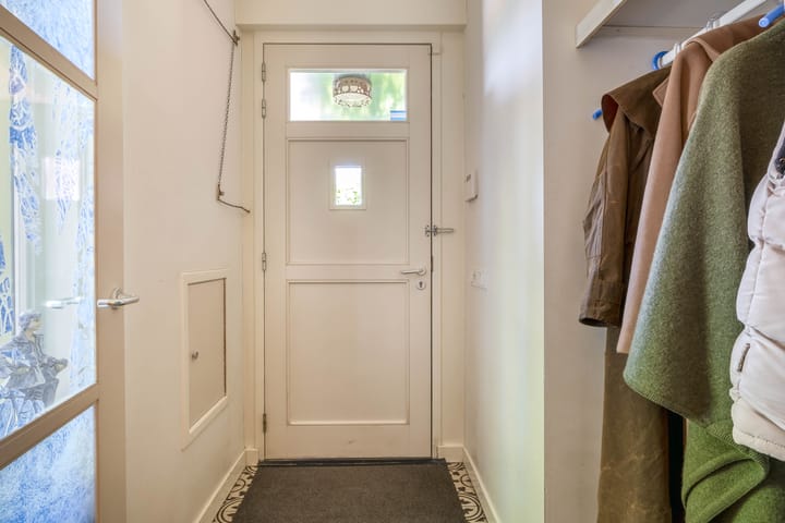 Photo 7 of Lupine 13