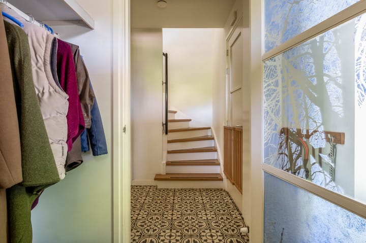 Photo 8 of Lupine 13