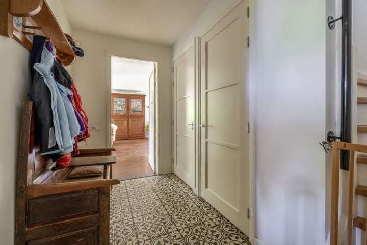 Photo 9 of Lupine 13