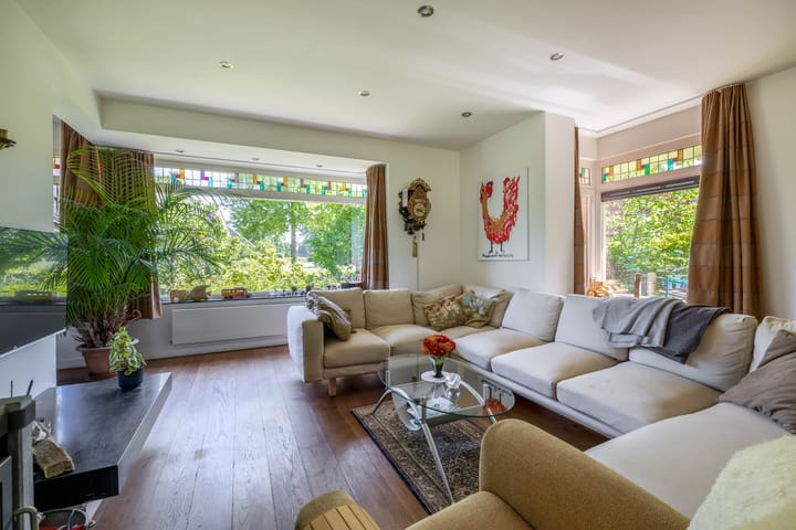 Photo 12 of Lupine 13